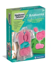 naukowa-zabawa-lab-anatomia-kreatywny-zestaw-nauwkowy-ludzkie-organy