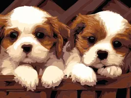 malowanie-po-numerach-30x40-cm-dwa-pieski