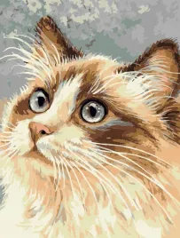 malowanie-po-numerach-30x40-cm-kot