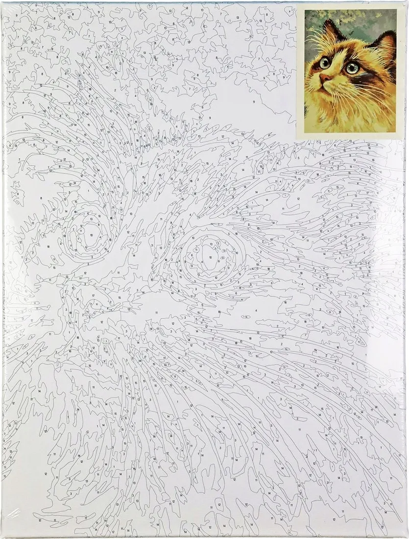 malowanie-po-numerach-30x40-cm-kot
