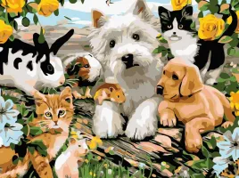 malowanie-po-numerach-30x40-cm-zwierzeta