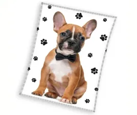 kocyk-coral-pies-buldog-koc-130x170-cm