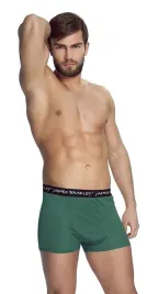 mewa-oliwkowe-bokserki-meskie-raphael-r-56-xxl
