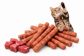 paleczki-smaczki-dla-kota-10szt-50g-z-wolowina-i-drobiemdo-tresury-nagroda