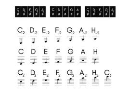 naklejki-na-klawisze-keyboard-pianino-z-nazwami-dzwiekow-and-nutami