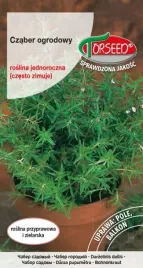 nasiona-czaber-ogrodowy-satureja-hortensis-1g-to