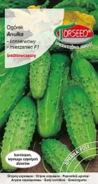 nasiona-ogorek-gruntowy-korniszonowy-torseed