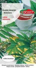 nasiona-kozlek-lekarski-valeriana-torseed