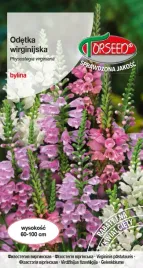 nasiona-odetka-wirginijska-mieszanka-01g-torseed