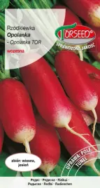 rzodkiewka-podluzna-nasiona-opolanka-torseed-polska-firma-pyszna-najlepsza