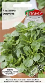 nasiona-roszponka-warzywna-verte-de-cambrai-2g-torseed