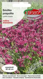 nasiona-smolka-pospolita-rozowa-torseed