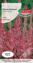 nasiona-zatrwian-suworowa-karminoworozowy-otarty-01g-torseed