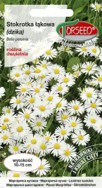 nasiona-stokrotka-lakowa-dzika-biala-2g-torseed