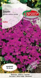 nasiona-zagwin-filoletowy-05g-torseed