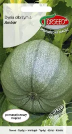 nasiona-dynia-olbrzymia-ambar-5g-torseed