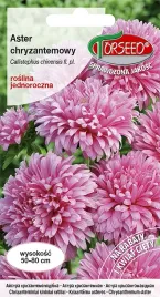 nasiona-aster-wysoki-chryzantemowy-rozowy-05g-torseed
