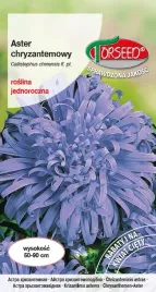 nasiona-aster-wysoki-chryzantemowy-jasnoniebieski-torseed