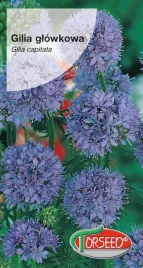 nasiona-gilia-glowkowa-niebieskofioletowa-1g-torseed