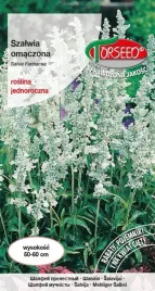 nasiona-szalwia-omaczona-niebieska-05g-torseed