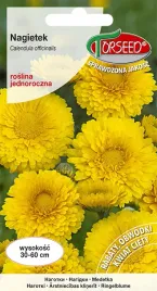 nasiona-nagietek-slomkowozolty-3g-torseed