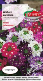 nasiona-werbena-zwisajaca-mieszanka-01g-torseed