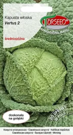 nasiona-kapusta-wloska-vertus-2-2g-torseed