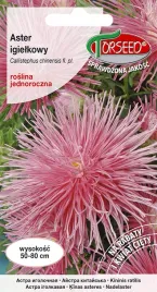 nasiona-aster-wysoki-igielkowy-czerwonolososiowy-torseed