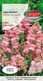 nasiona-lwia-paszcza-rozowa-1g-torseed