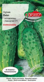 polan-nasiona-ogorek-konserwowy-do-siana-torseed-f1-3g