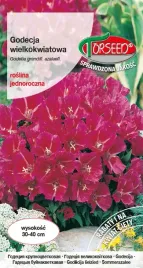 nasiona-godecja-wielkokwiatowa-karminowoszkarlatna-1g-torseed
