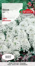 nasiona-ubiorek-bialy-torseed