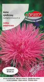 nasiona-aster-wysoki-igielkowy-rozowy-05g-torseed