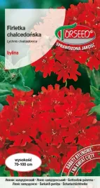 nasiona-firletka-chalcedonska-czerwona-05g-torseed
