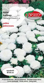 nasiona-aster-karlowy-bialy-05g-torseed