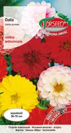 nasiona-dalia-pelna-i-polpelna-mieszanka-1g-torseed