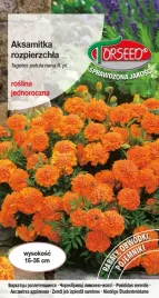 nasiona-aksamitka-rozpierzchla-niska-pomaranczowa-1g-torseed