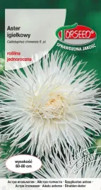 nasiona-aster-wysoki-igielkowy-bialy-05g-torseed