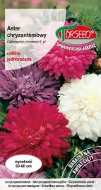 nasiona-aster-wysoki-chryzantemowy-mieszanka-1g-torseed