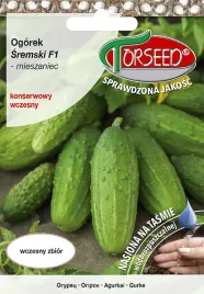 ogorek-gruntowy-nasiona-konserwowy-sremski-f1-tasma-5g-torseed