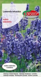 nasiona-lawenda-lekarska-lavandula-officinalis-02g-torseed