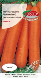 nasiona-marchew-jadalna-amsterdam-3-torseed-nasiona-marchwi