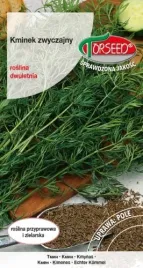 nasiona-kminek-zwyczajny-carum-carvi-2g-torseed-nasiona-kminku