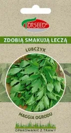 nasiona-lubczyk-lekarski-02g-torseed