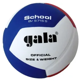 pilka-siatkowa-gala-bv5715s-school