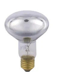 promiennik-przezroczysty-50w