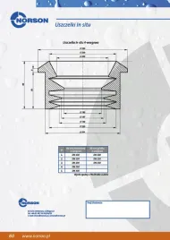 uszczelka-in-situ-250-276-norson