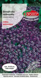 nasiona-smagliczka-nadmorska-fioletowa-1g-torseed