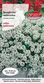 nasiona-smagliczka-nadmorska-biala-1g-torseed