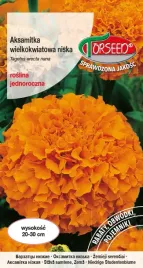 nasiona-aksamitka-wielkokwiatowa-niska-pomaranczowa-1g-torseed